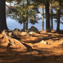 Nature Photography workshops Ottawa